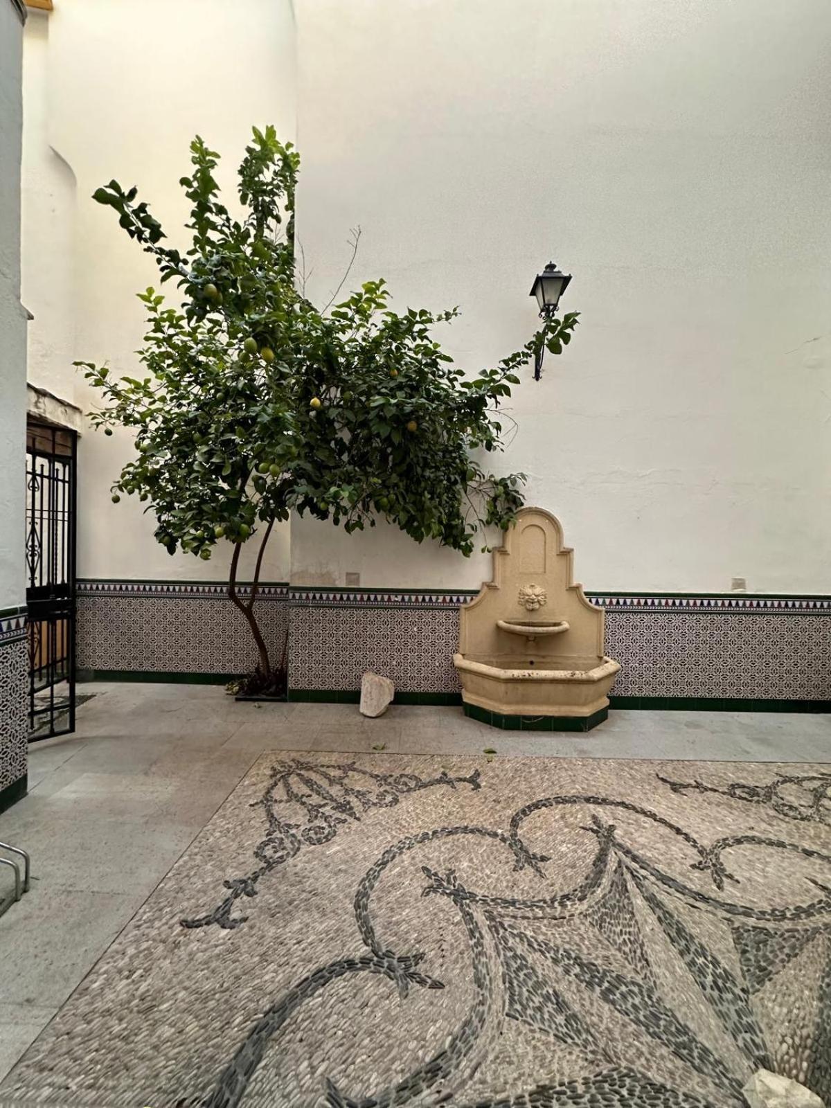 Appartement Au Centre De Gordoba コルドバ エクステリア 写真